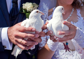 White pigeons in the hands of newlyweds