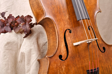 Detail of the cello