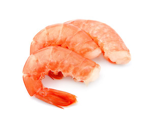 Shrimps