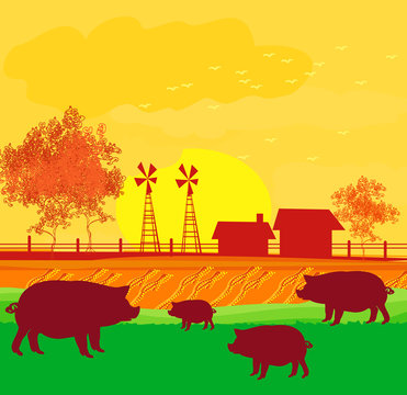 Herd of pigs on nature background