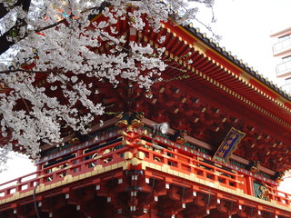 神田明神   春の隨神門