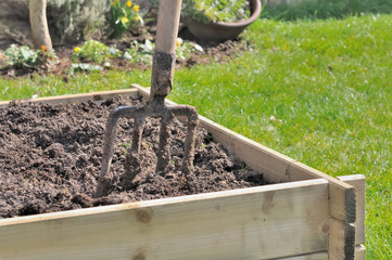 bêche plantée dans un carré de potager