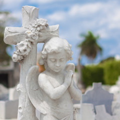 Obraz premium Infant angel praying and christian cross on a cemetery
