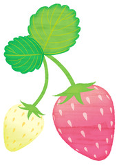 水彩風のいちご