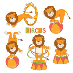 Naklejka premium Collection of cute circus lion on white background .