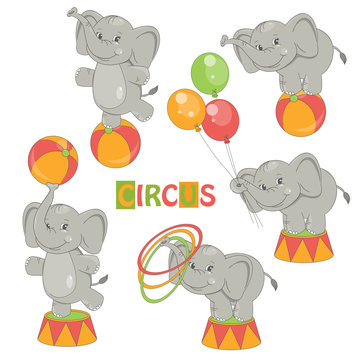 Collection of cute circus elephant on white background.