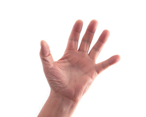 main ouverte  humaine sur fond blanc