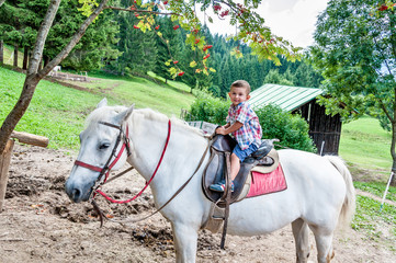 beautiful baby rides a horse