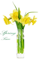 Beautiful spring flowers in vase: orange narcissus (Daffodil)