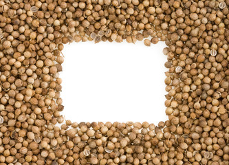 coriander on white background