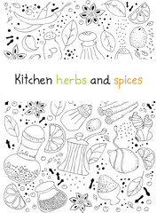Kitchen herbs and spices doodle background