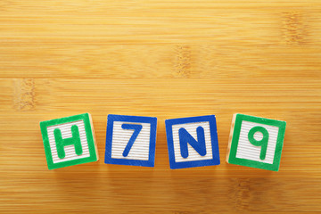 H7N9 toy block