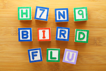 H7N9 bird flu toy block