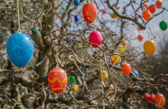 Osterbaum