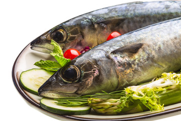 Atlantic raw sardine