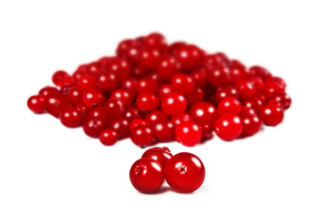cranberries over white