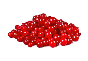 cranberries over white