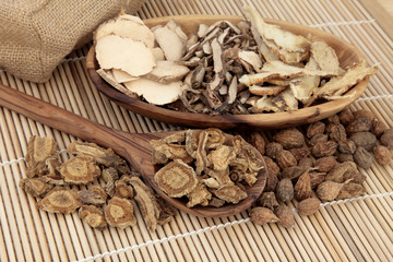 Traditional Chinese Medicine