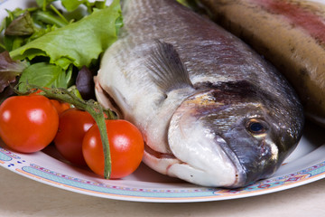 sea bream