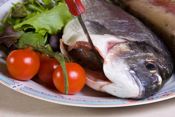 sea bream