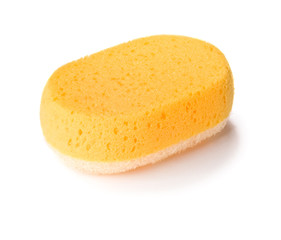 yellow sponge