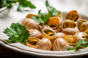 Closeup of baked snails with garlic butter