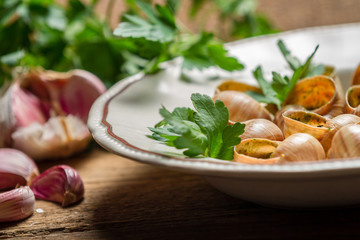 Baked snails with garlic butter and parsley