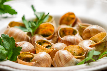Closeup of baked snails with garlic butter and parsley