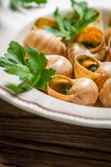 Closeup of baked snails with parsleyand garlic butter