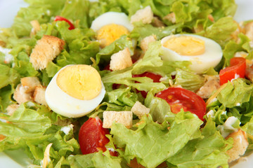 Caesar salad on white plate, close up