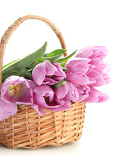 Beautiful bouquet of purple tulips in basket, isolated on white