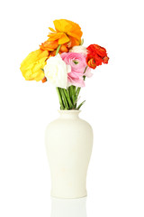 Ranunculus (persian buttercups) in vase, isolated on white