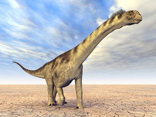 Fototapeta premium Dinosaurier Camarasaurus