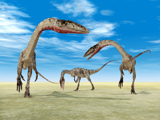 Dinosaurier Coelophysis