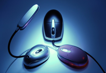 concept of computer mice in the darkness