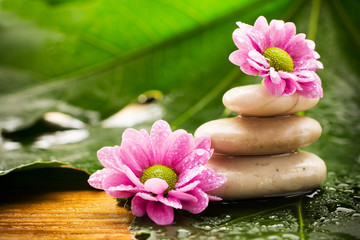 Spa treatment.