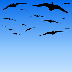 Vol d’oiseaux sur ciel bleu