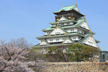 Fototapeta premium Osaka castle and cherry blossom