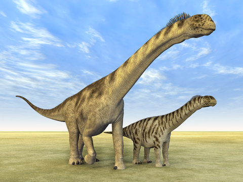 Dinosaurier Camarasaurus