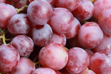 background of red grape