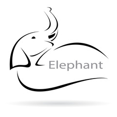 Vector image of an elephant on a white background