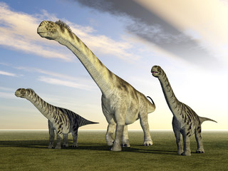 Obraz na płótnie Canvas Dinosaurier Camarasaurus