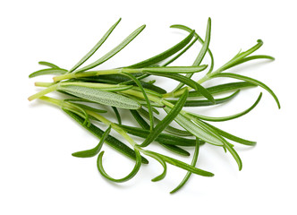 fresh rosemary isolated on white background
