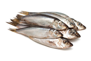 sprat fish