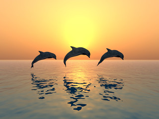 Springende Delfine