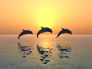 Afwasbaar Fotobehang Dolfijnen Dolfijnen springen
