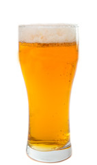 glass of beer isolated