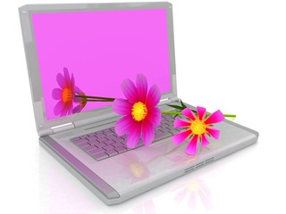 notebook and cosmos flower on white background