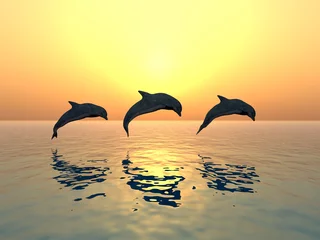 Raamstickers Dolfijnen springen © Michael Rosskothen