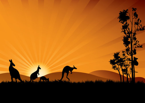 Australian animals